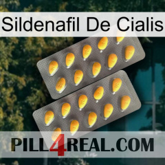 Cialis Sildenafil cialis2